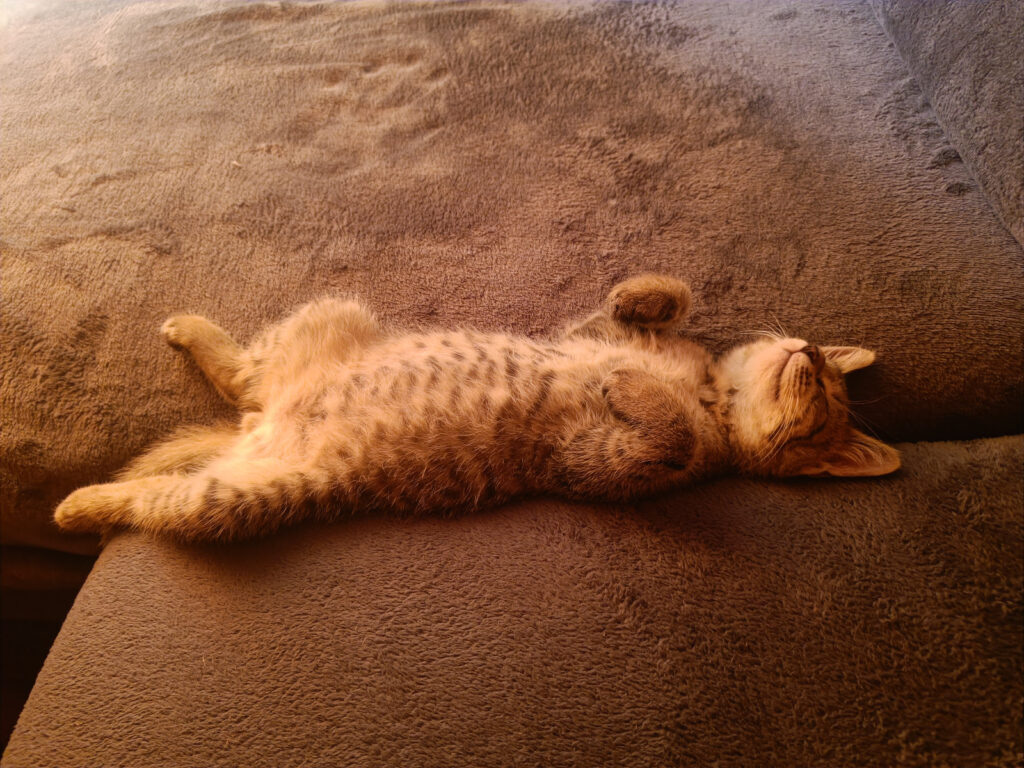 meine Lieblings-Schlafposition
